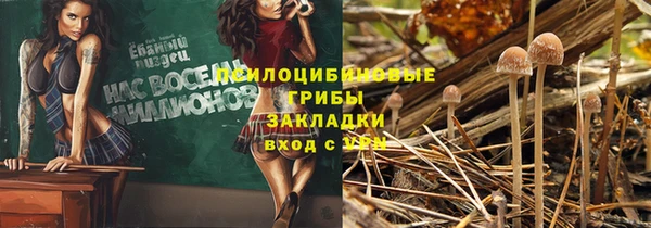 mix Горняк